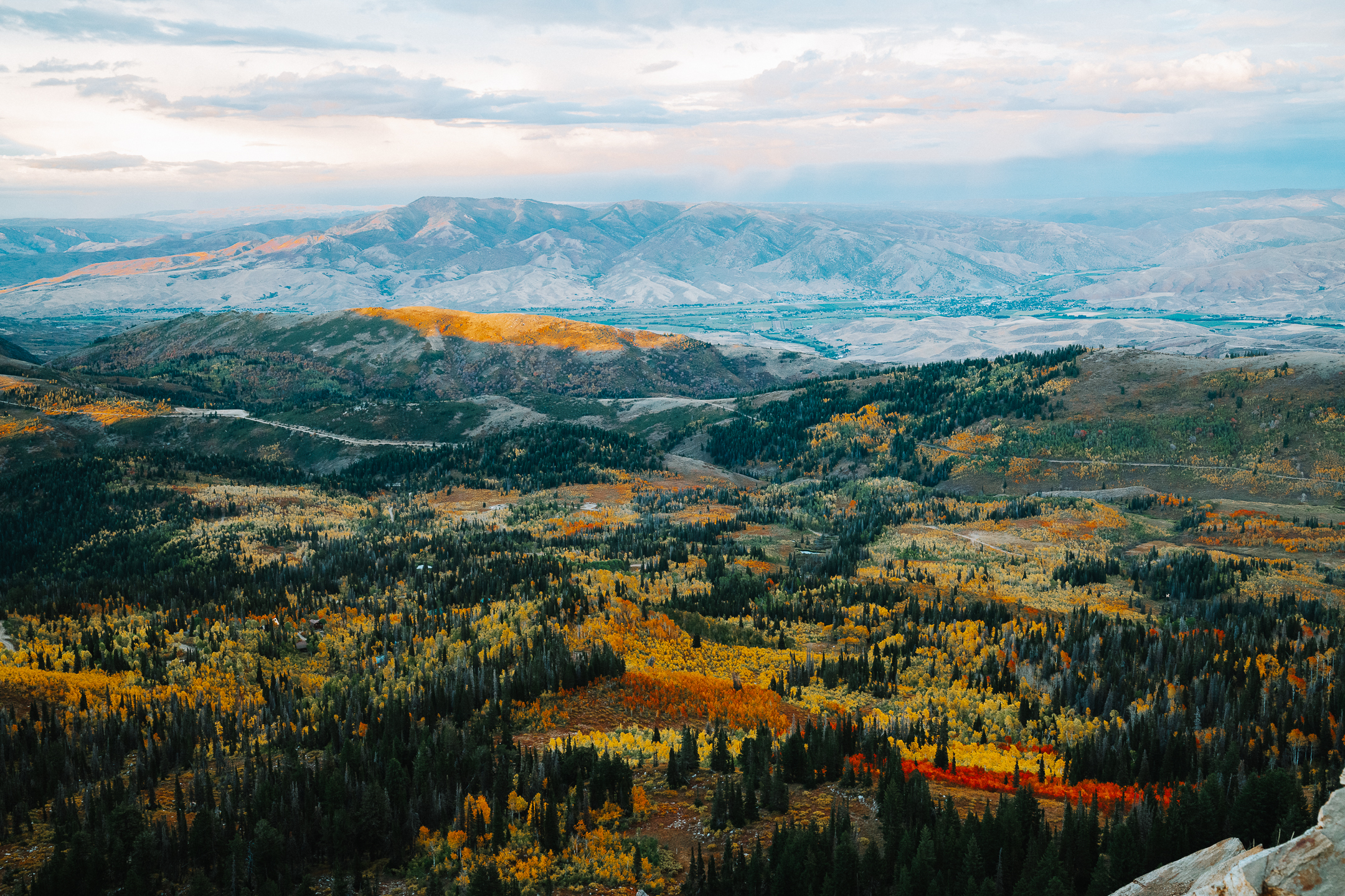 Landscape