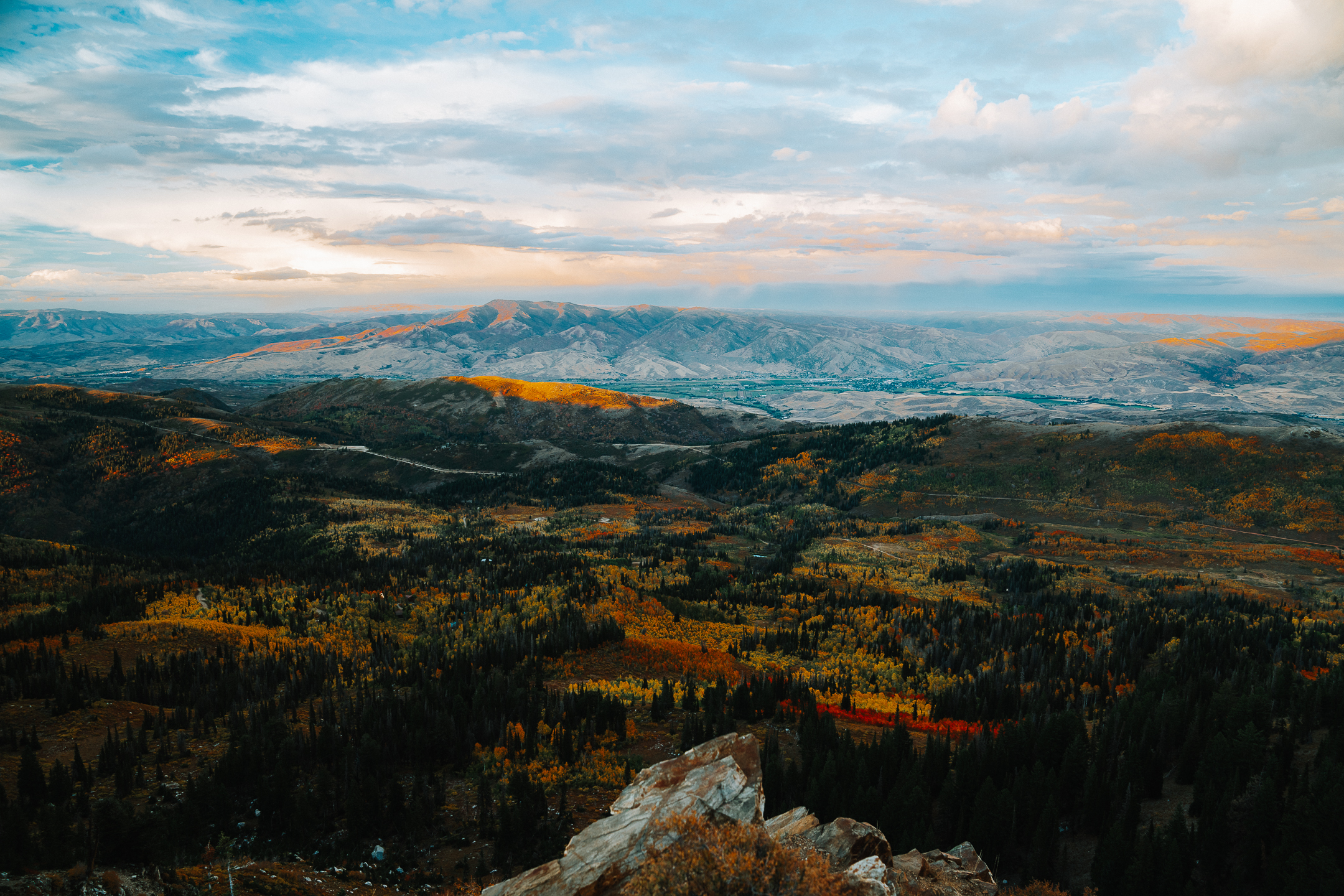 Landscape